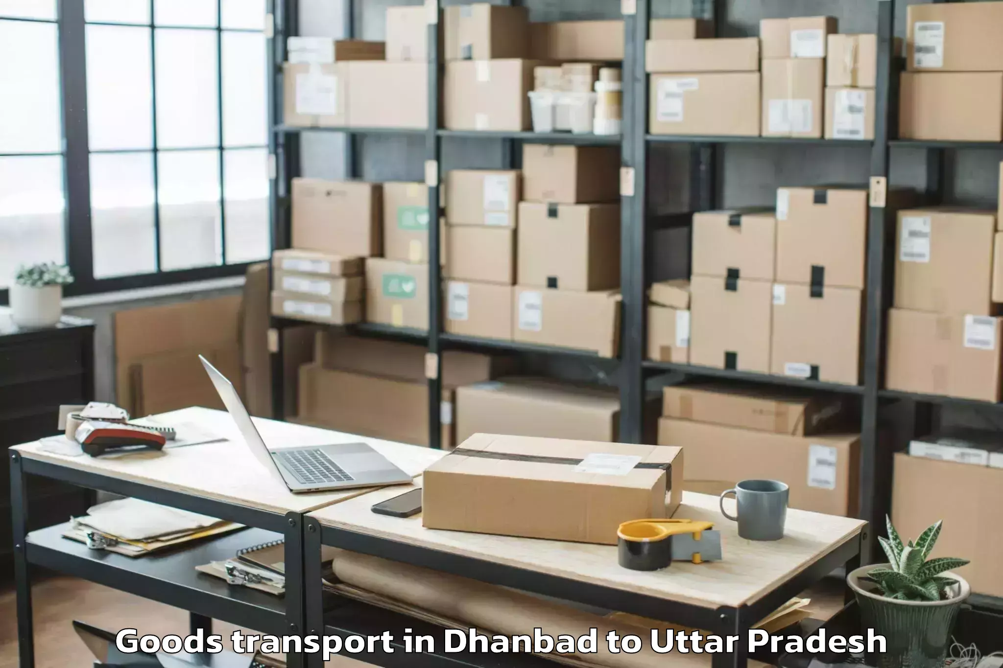 Get Dhanbad to Mangalayatan University Aligar Goods Transport